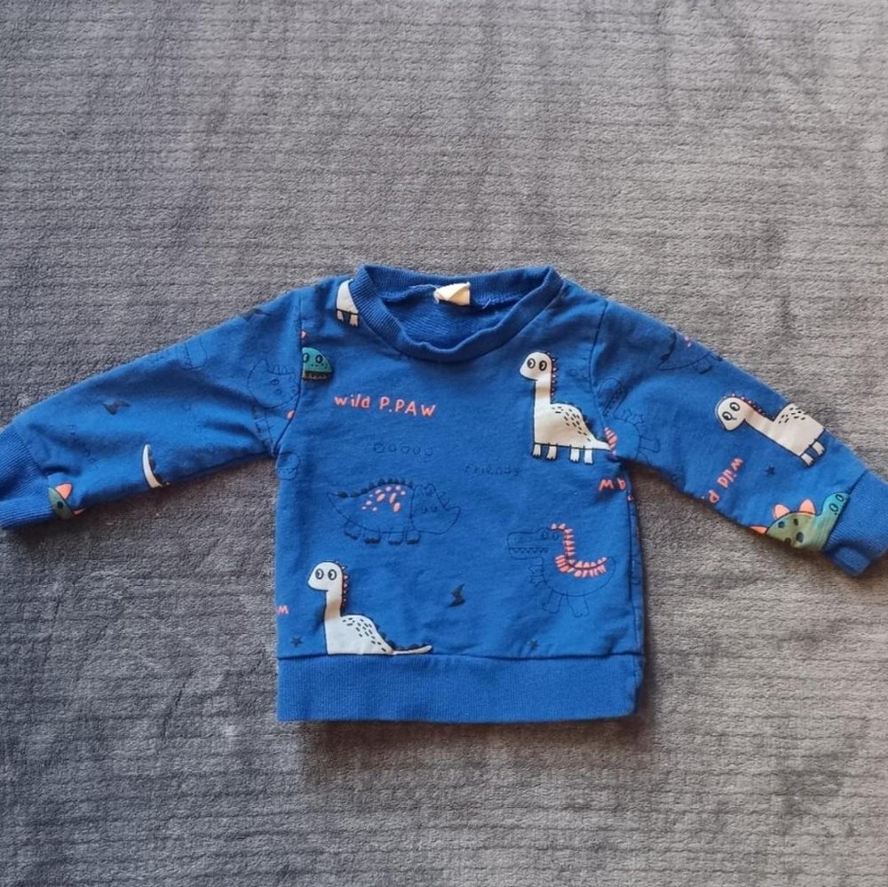 Blue Dinosaur Vintage Baby Sweatshirt 0-3 Months Boys Dino Pullover Adorable